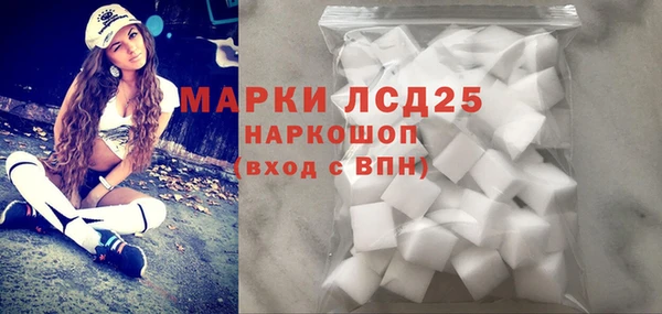 дживик Белокуриха