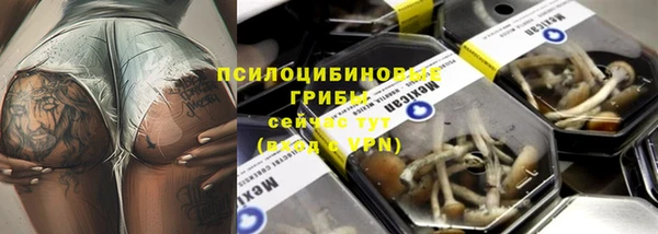 дживик Белокуриха