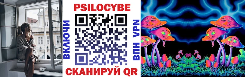 Псилоцибиновые грибы Psilocybine cubensis  наркотики  shop Telegram  Курчалой 